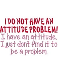 No Attitude Problem